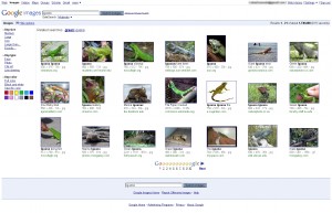 Screenshot of Regular image search engine